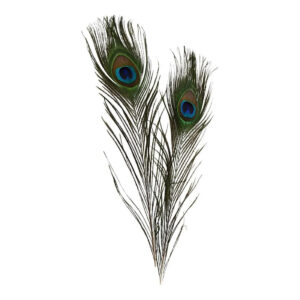 Påfuglefjer, L: 25-30 cm, 10 stk,/ 1 pk