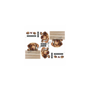 3D ark Quick Cards Hund Labrador